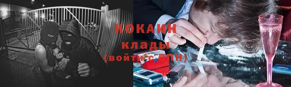 амф Алзамай