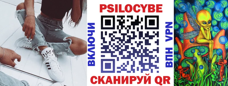 ОМГ ОМГ онион  купить закладку  Суджа  shop состав  Галлюциногенные грибы Magic Shrooms 